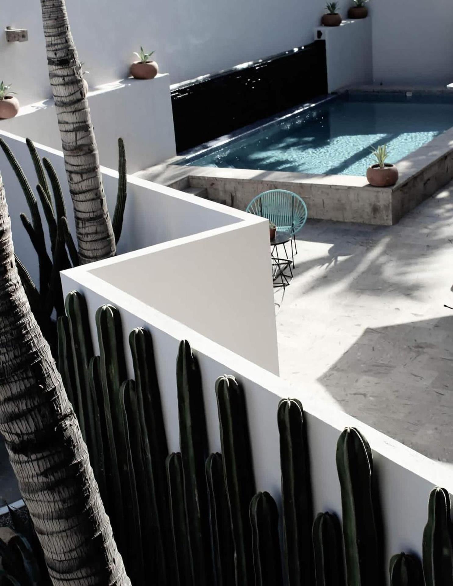 4 Charming Suite King Rooms In Luxurious Boutique Hotel San José del Cabo Exterior foto
